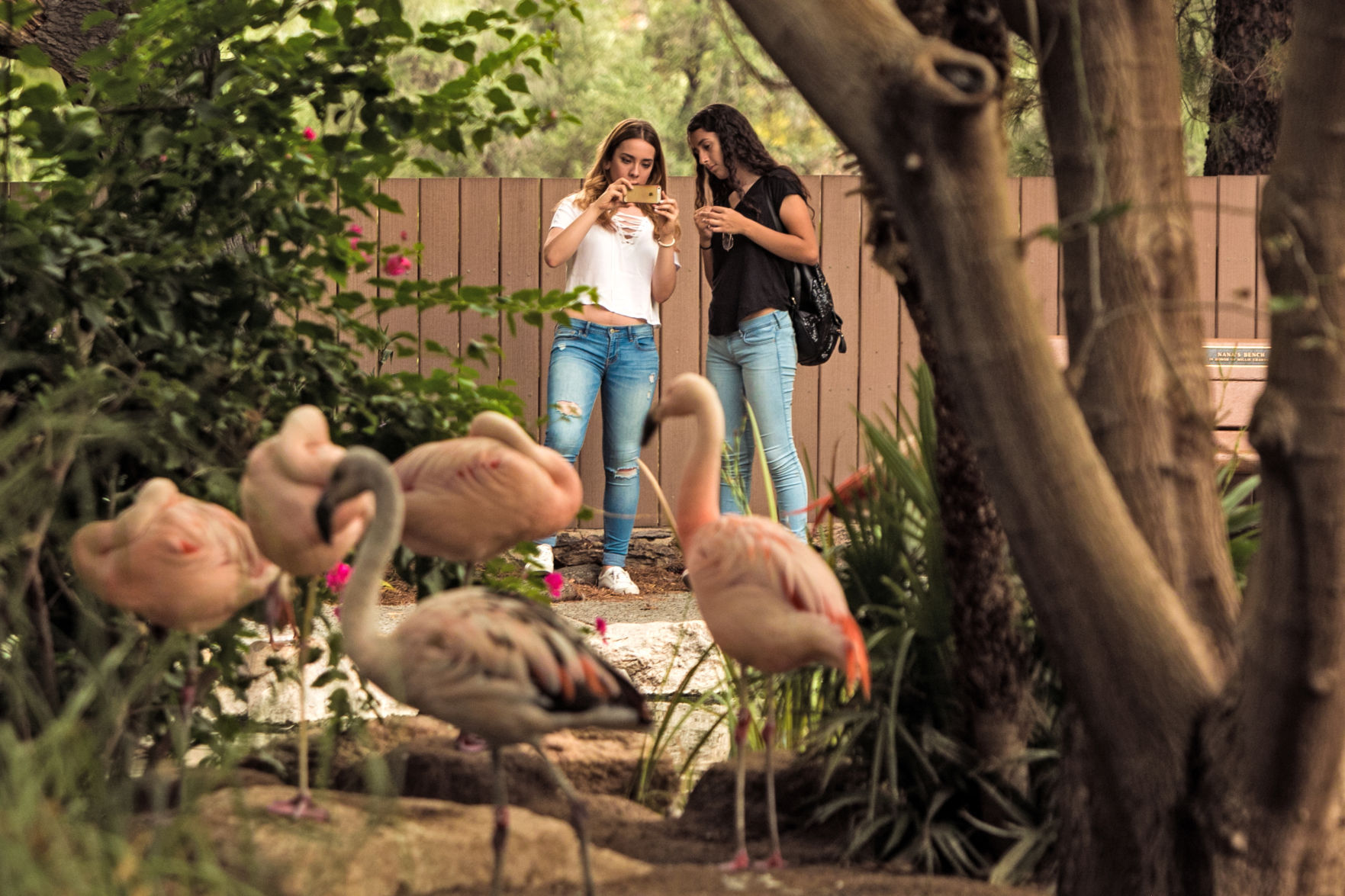 Reid Park Zoo (LE)